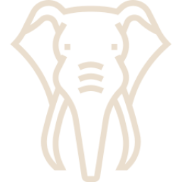 Botswana Yoga & Wildlife Retreat
